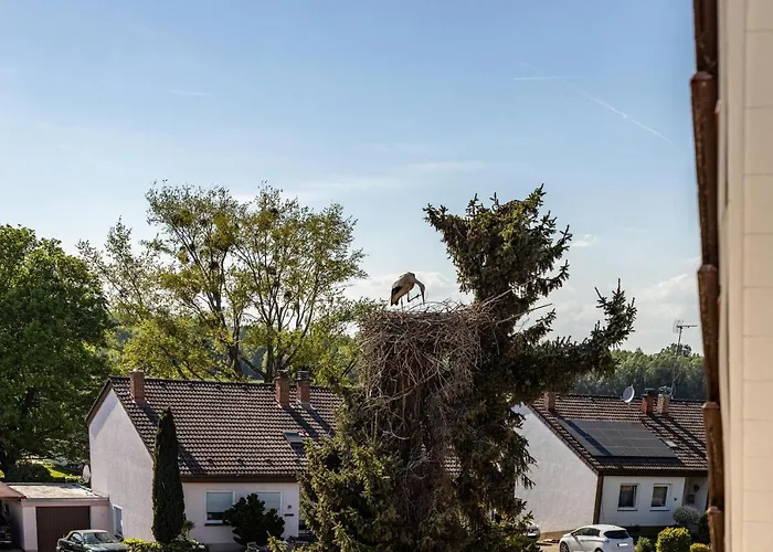 公寓 Laulina Bohringen (Konstanz)